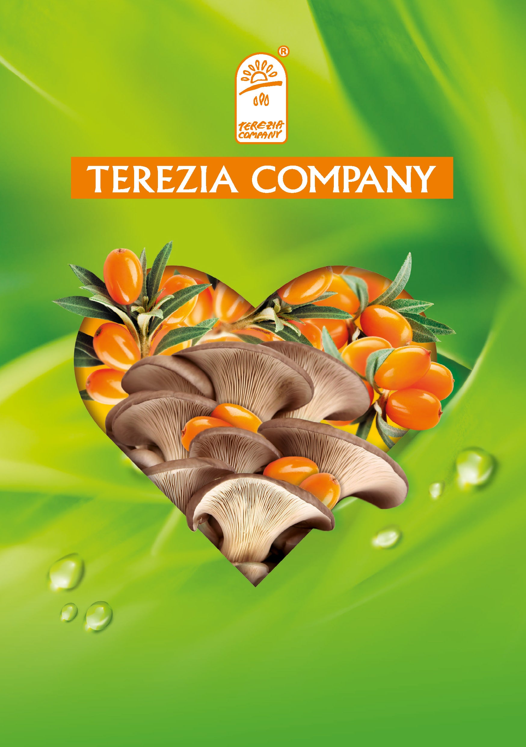 terezia coração original.jpg__PID:379b9599-c26d-483a-a424-27c4095f48e1