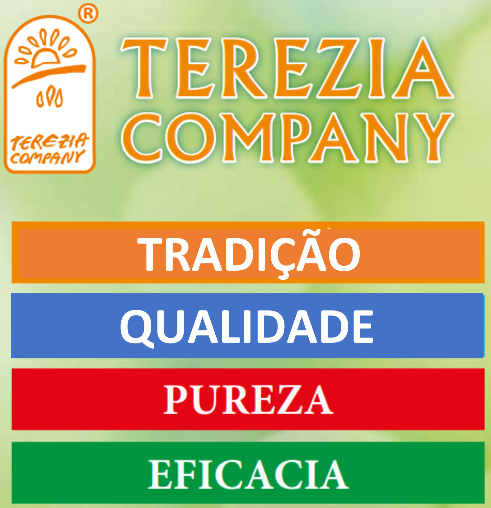 terezia tradicao qualidade.png__PID:a0bbf7ea-4db8-4a3d-863c-73aa2b2fcbd4