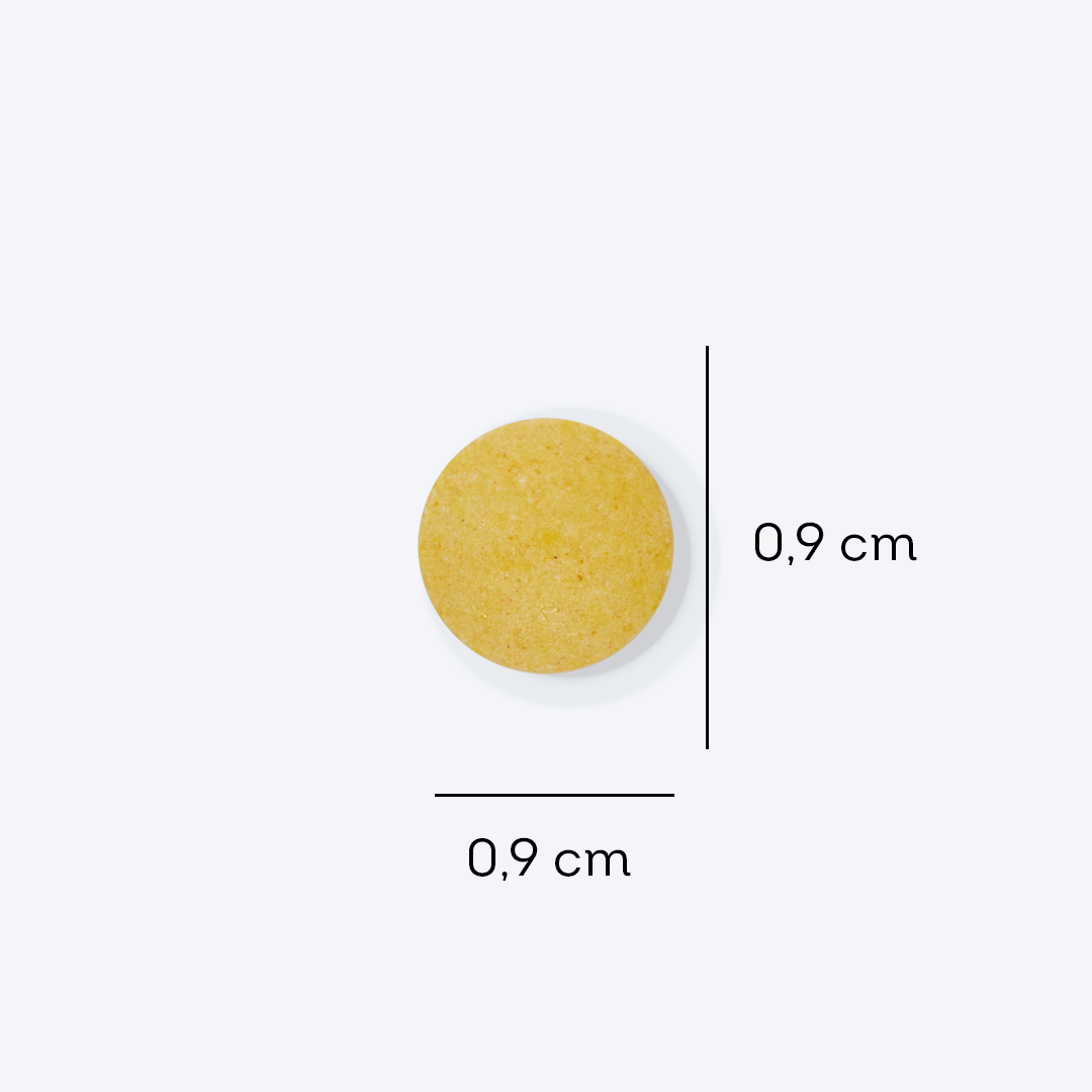 FDC B-complex | 100 dias de uso